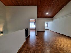 Dunearn Road (D11), Condominium #484959111